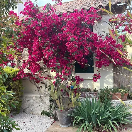 Lou Tiboulen Townhouse 100 M From The Port Villa